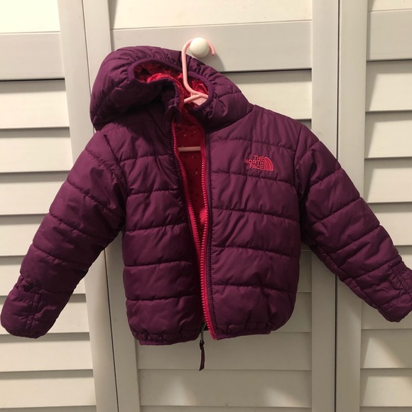 The North Face Other - North Face Jacket for Little Girl